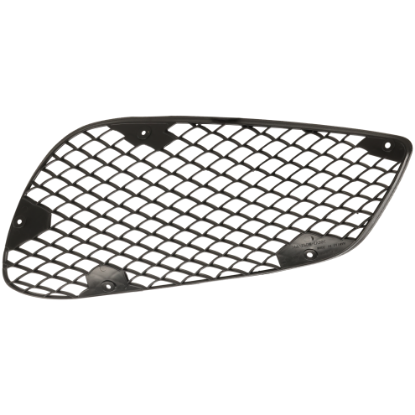 Picture of Bumper Grille