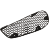 Picture of Bumper Grille