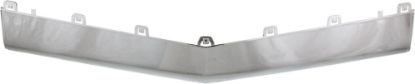 Picture of Bumper Trim