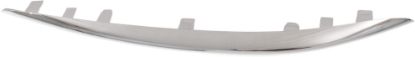 Picture of Bumper Trim