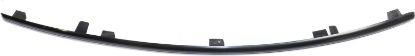 Picture of Bumper Trim