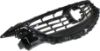 Picture of Grille Assembly
