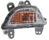 Picture of Turn Signal Light