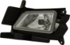 Picture of Fog Light