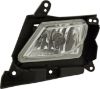 Picture of Fog Light