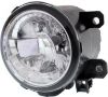 Picture of Fog Light