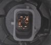 Picture of Fog Light