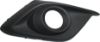 Picture of Fog Light Trim