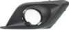 Picture of Fog Light Trim