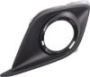 Picture of Fog Light Trim