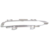 Picture of Fog Light Trim