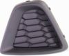 Picture of Fog Light Cover