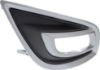 Picture of Fog Light Trim