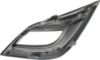 Picture of Fog Light Trim