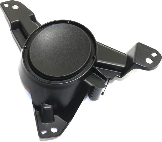 Picture of Fog Light Cover