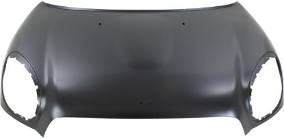 Picture of Hood