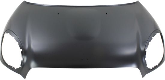 Picture of Hood