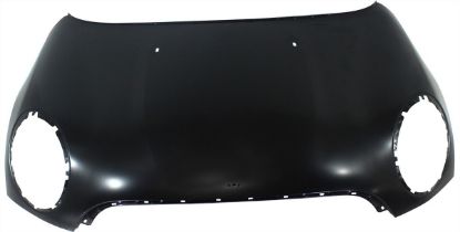 Picture of Hood