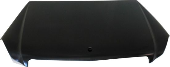 Picture of Hood
