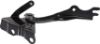 Picture of Hood Hinge