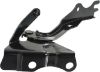 Picture of Hood Hinge