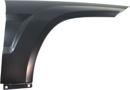 Picture of Fender