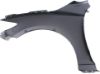 Picture of Fender