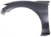 Picture of Fender