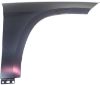Picture of Fender