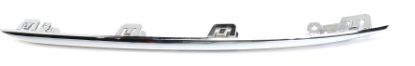 Picture of Bumper Trim