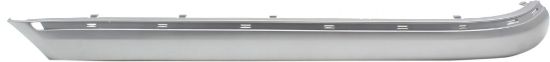 Picture of Bumper Trim
