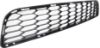 Picture of Bumper Grille