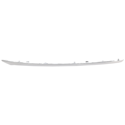 Picture of Bumper Trim