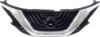 Picture of Grille Assembly