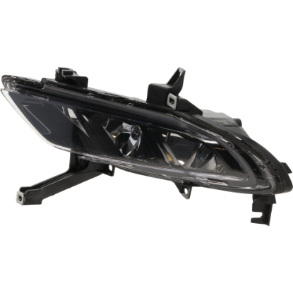 Picture of Fog Light