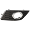 Picture of Fog Light Trim