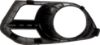 Picture of Fog Light Trim
