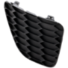 Picture of Fog Light Cover