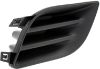 Picture of Fog Light Cover