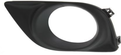 Picture of Fog Light Trim