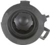 Picture of Fog Light Cover