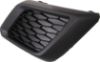Picture of Fog Light Cover