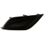 Picture of Fog Light Cover