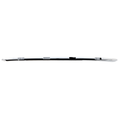 Picture of Bumper Trim