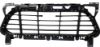 Picture of Bumper Grille