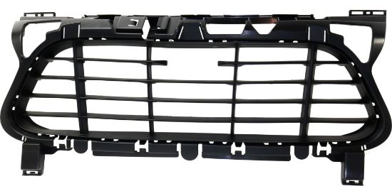 Picture of Bumper Grille