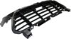 Picture of Bumper Grille