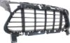 Picture of Bumper Grille