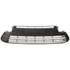 Picture of Bumper Grille