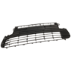 Picture of Bumper Grille
